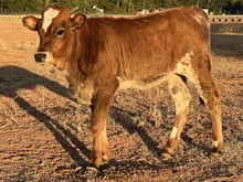 M7 Hydro’s Shadow