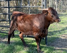 M7 Fast Touchdown 🏆