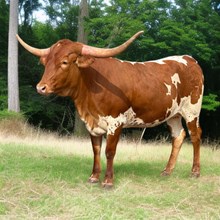 M7 Rising Example